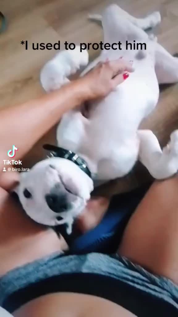 @Laura Biró