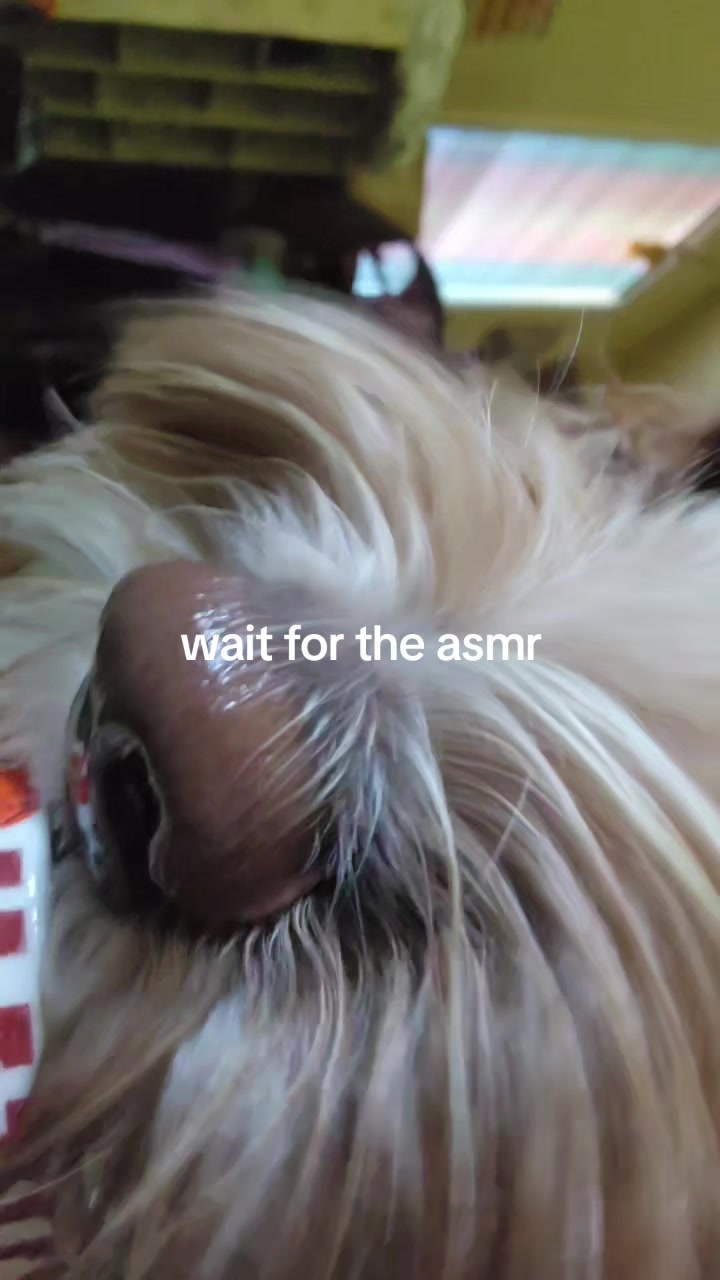 @Saige