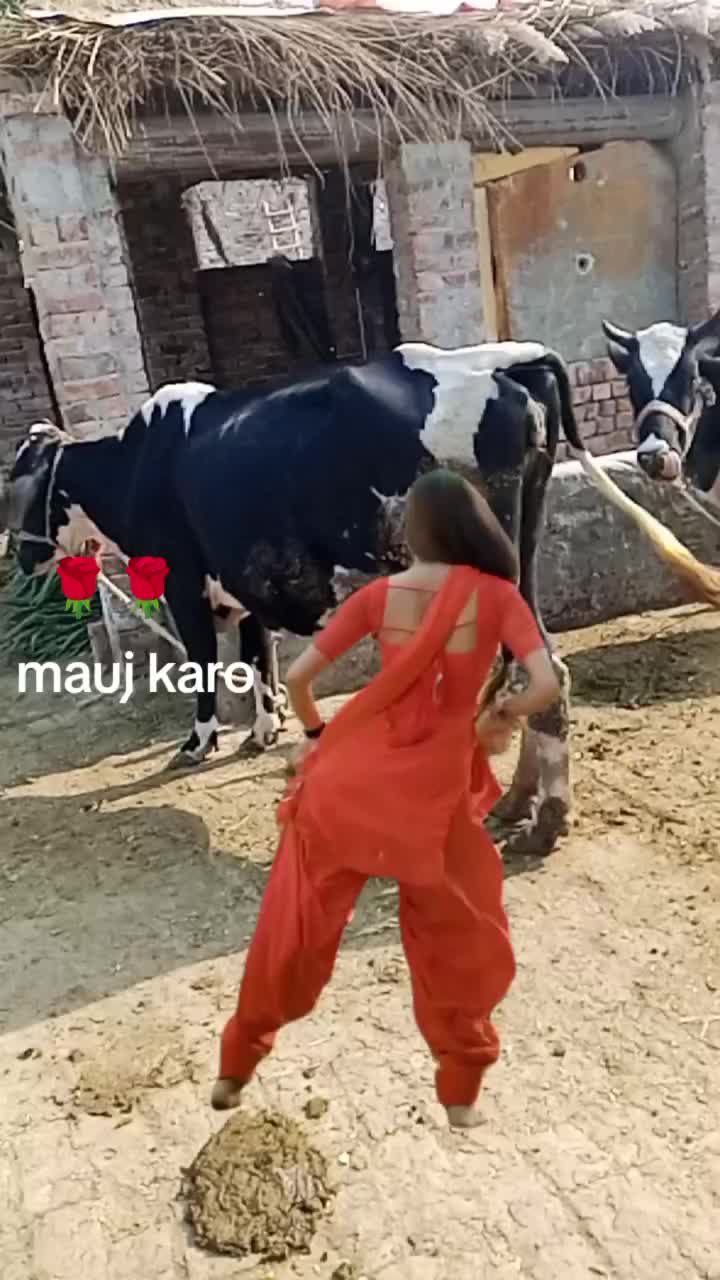 @Noor Pare 🥰🥰