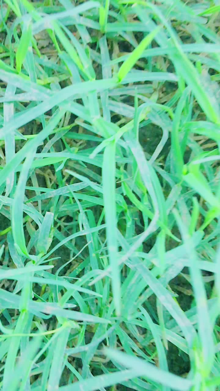 @user73200173036