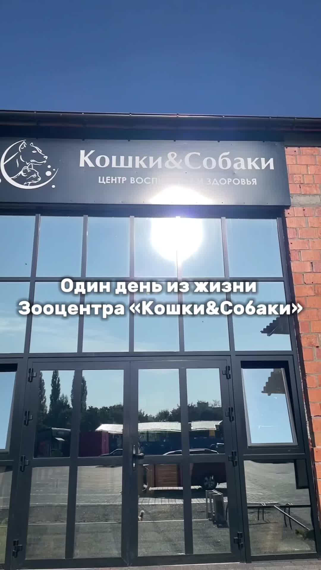 @dogcat_center.by