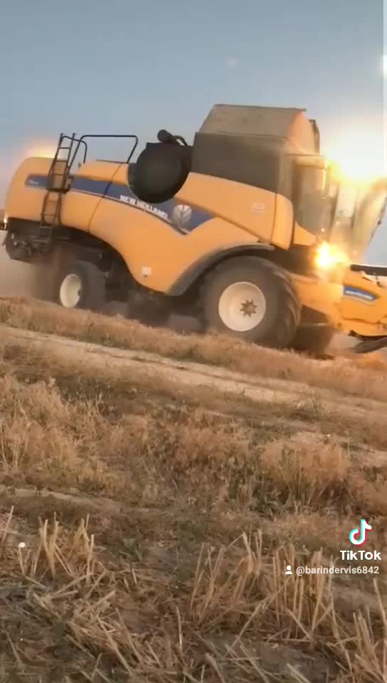 @barindervis6842