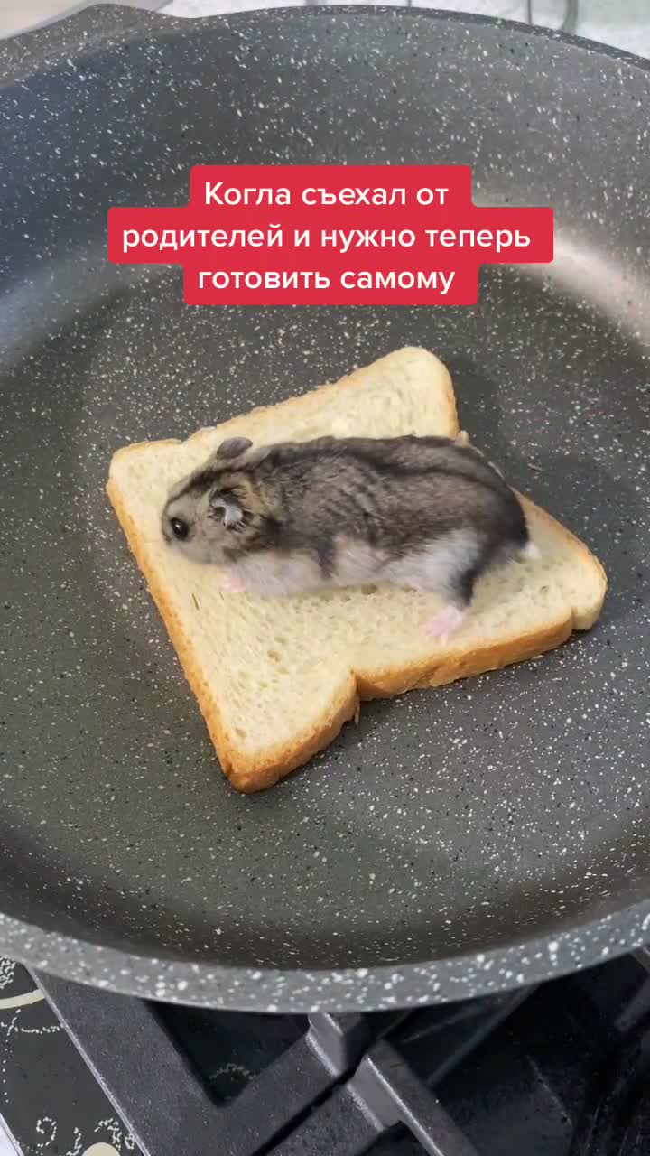 @Кушать подано👩🏻🍳👌🏻