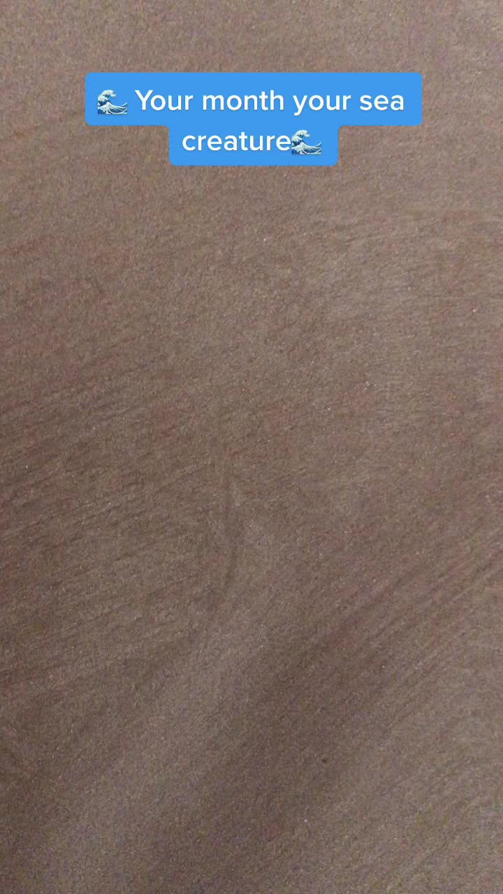 @AussieManLikesFeet