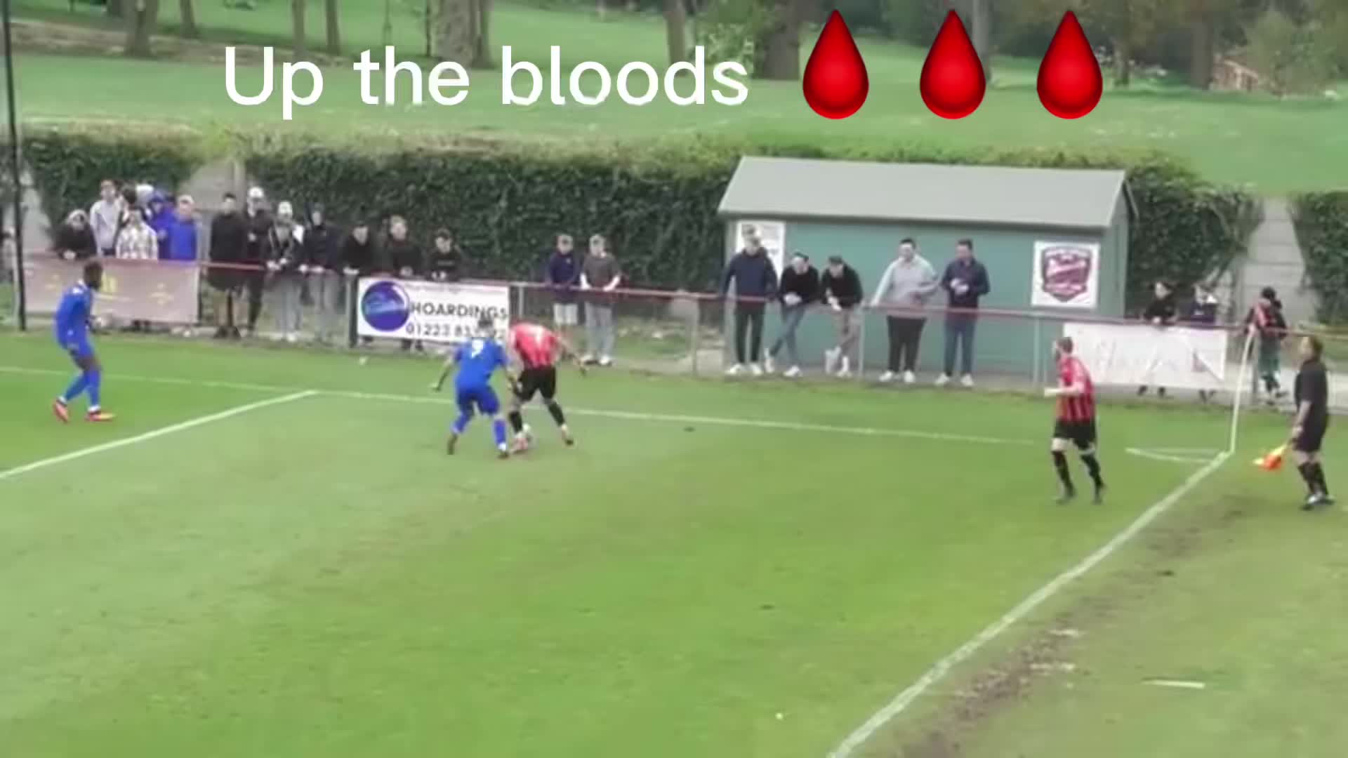 @oliverknowsball