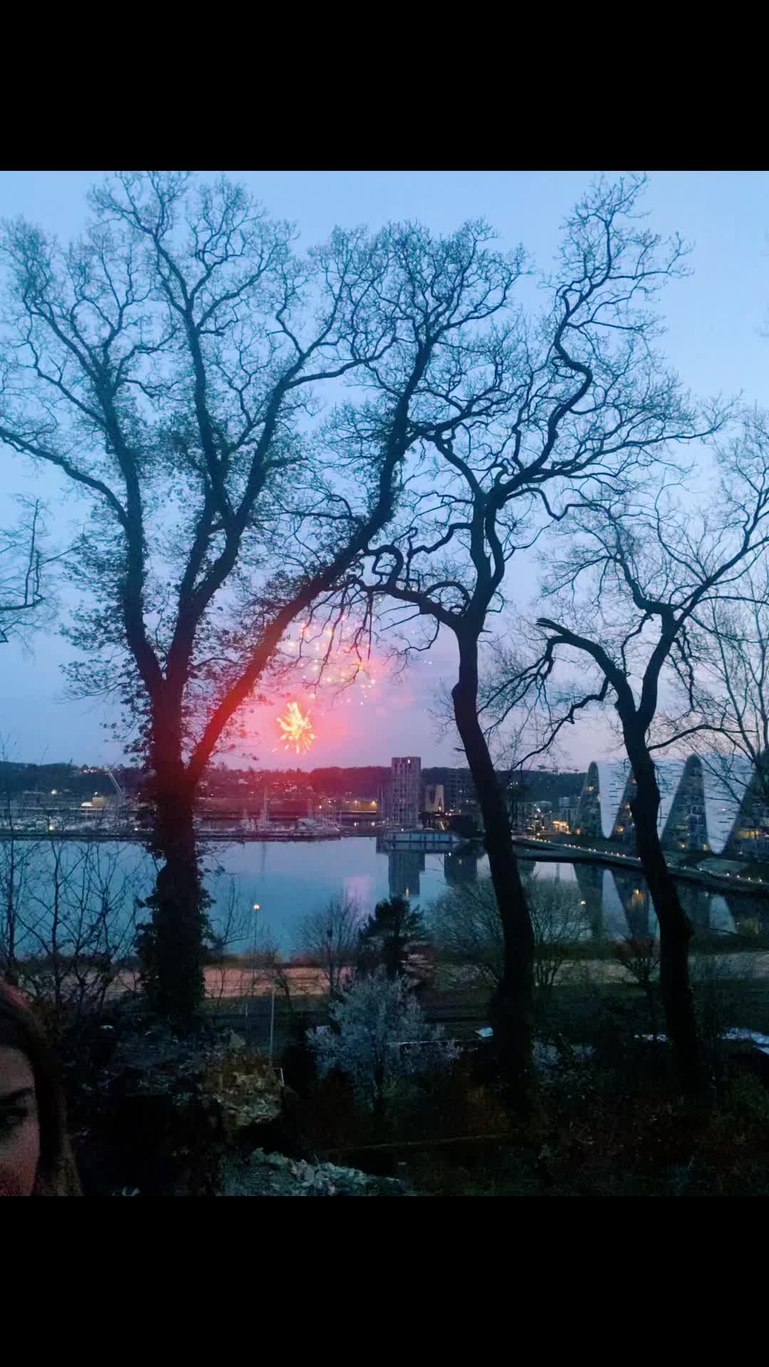 @Lærke Conrad