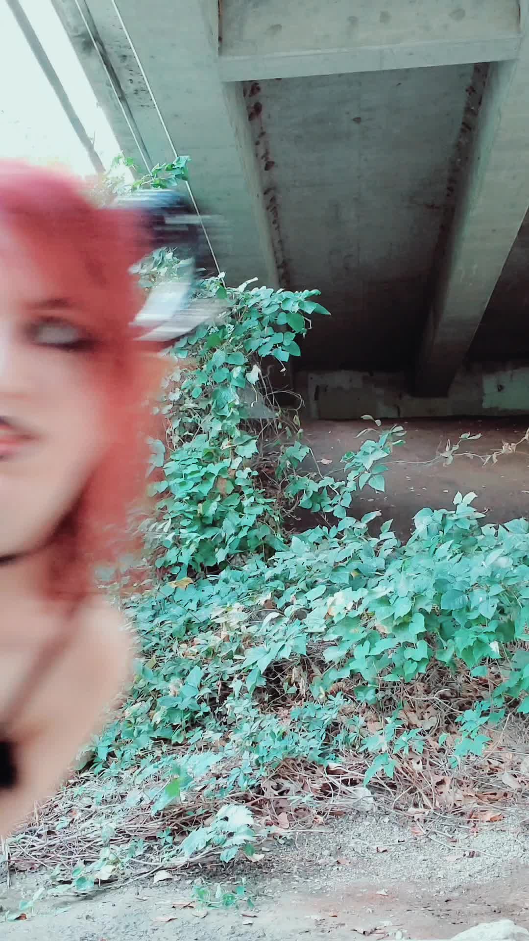 @𝔖𝔲𝔠𝔠𝔲𝔟𝔲𝔰