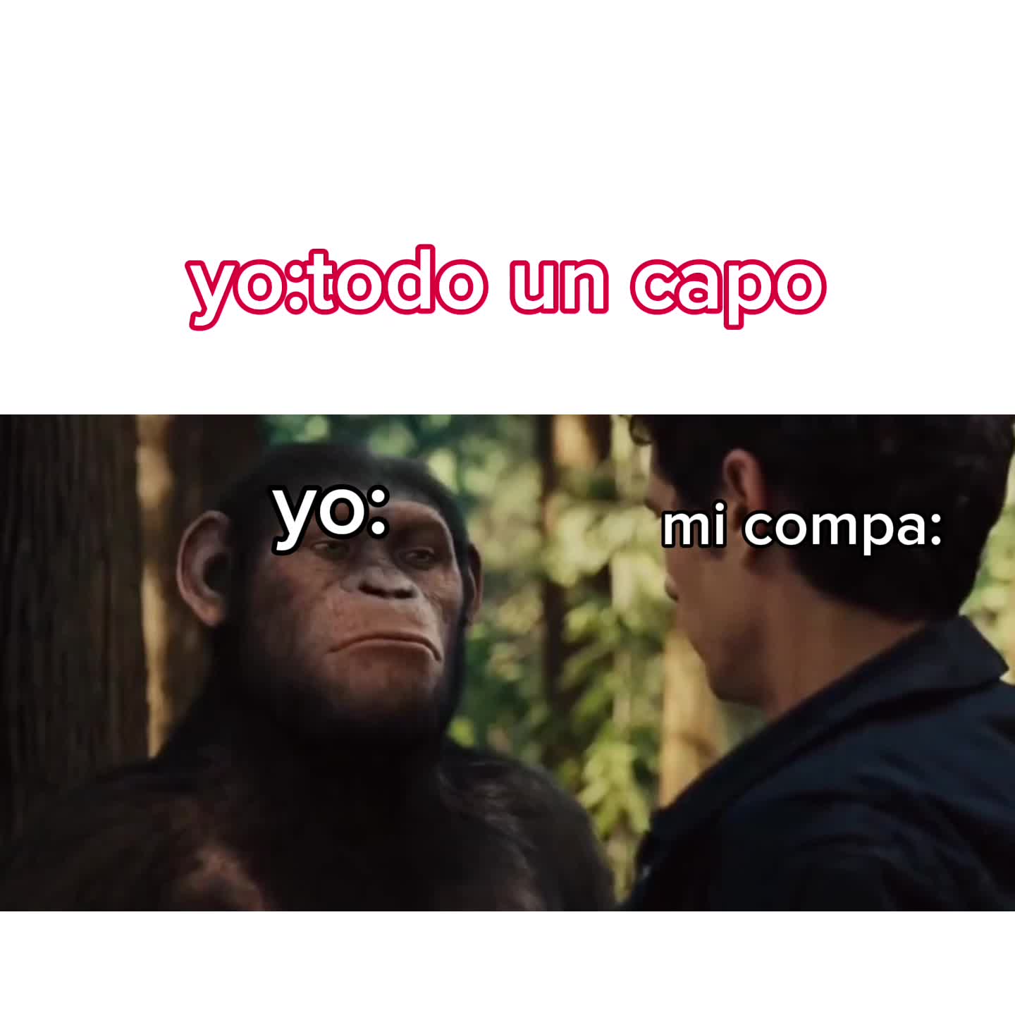 @mamu1939