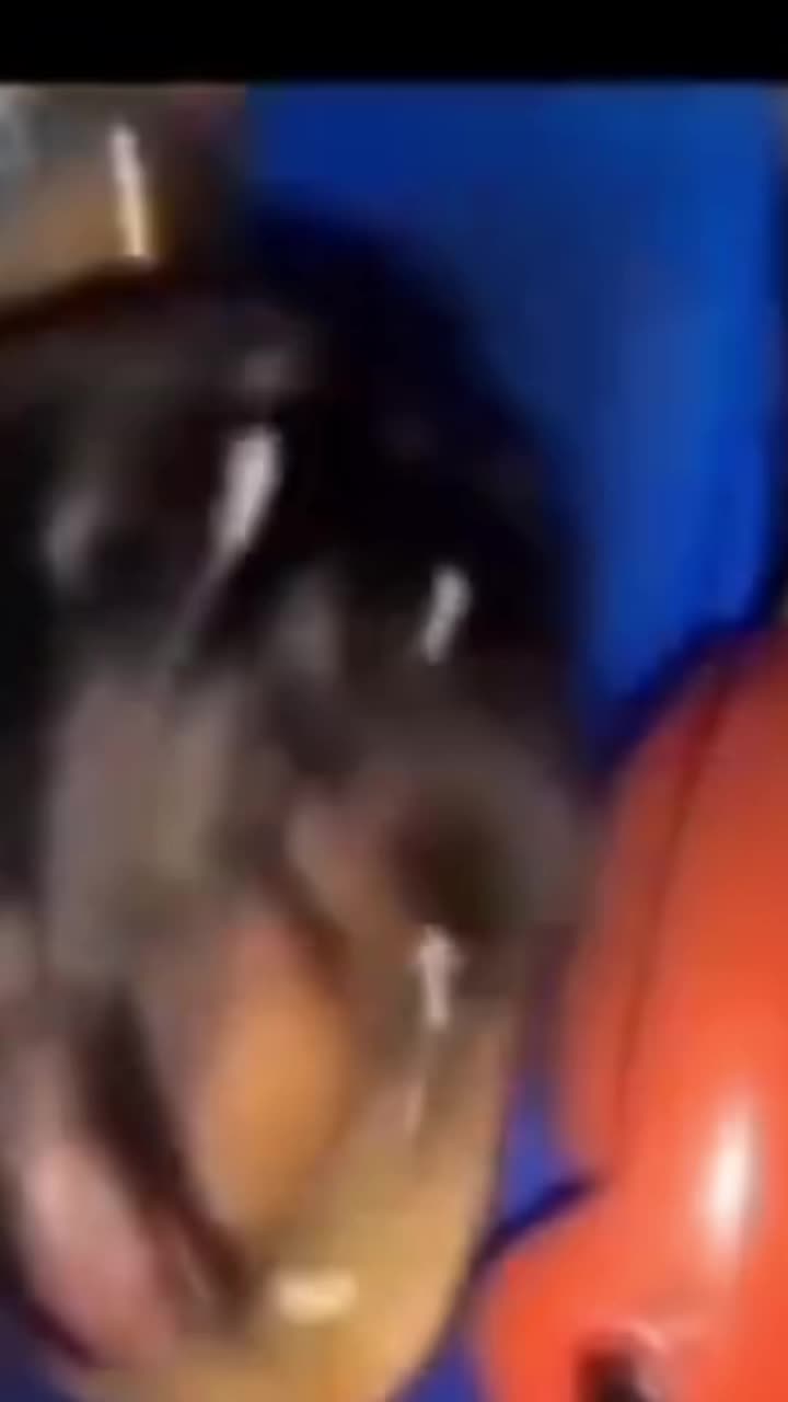 @👑 𝕬𝖐𝖐𝖎𝖊👑