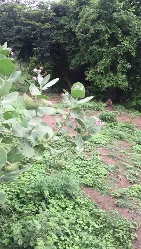 @Shivam Sharma