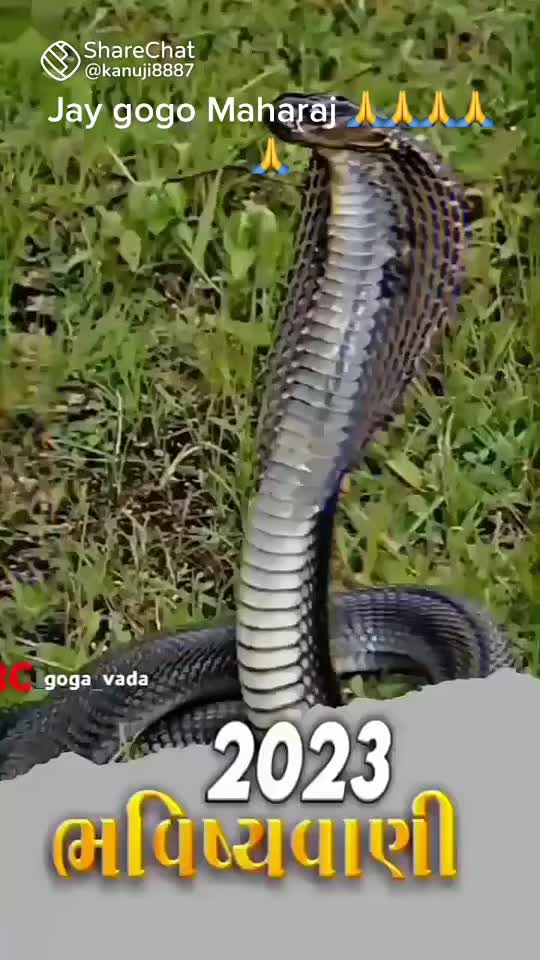 @Ghanshaym Patel