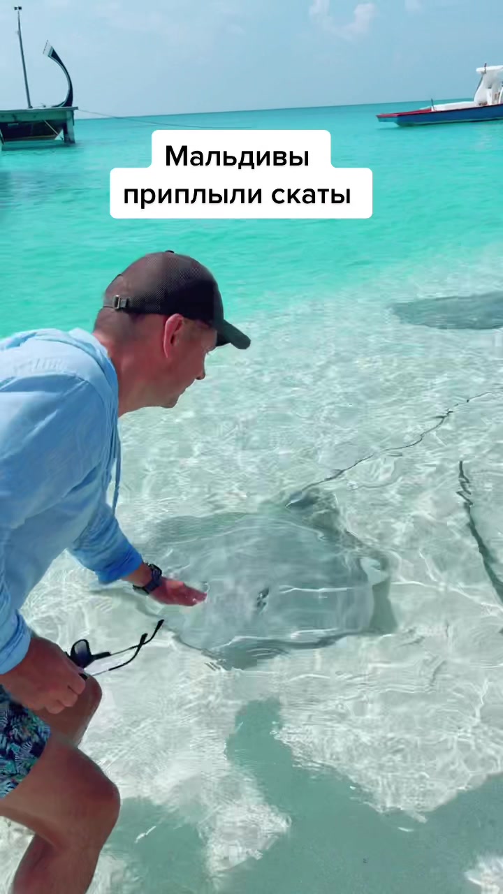 @Александр