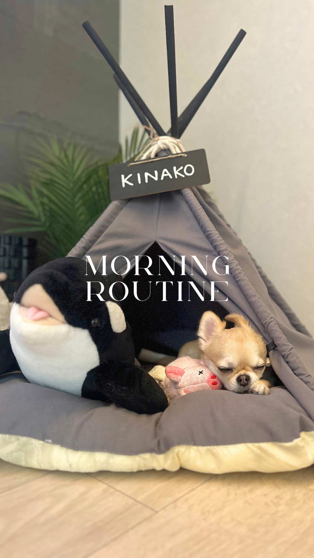 @きなこおぜん