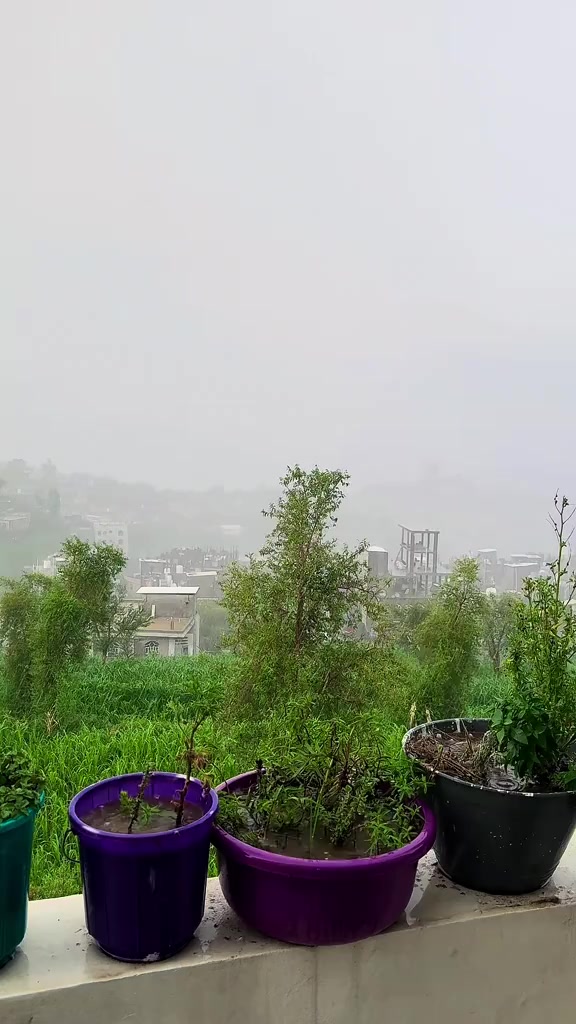 @آلُـِـِِـِِِـِِـِـﮩتـٌـٌٌـآر🌚