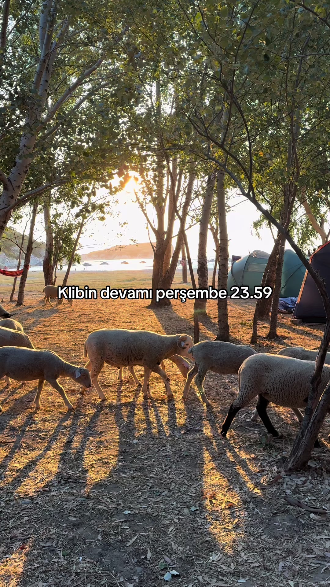 @Gökmen