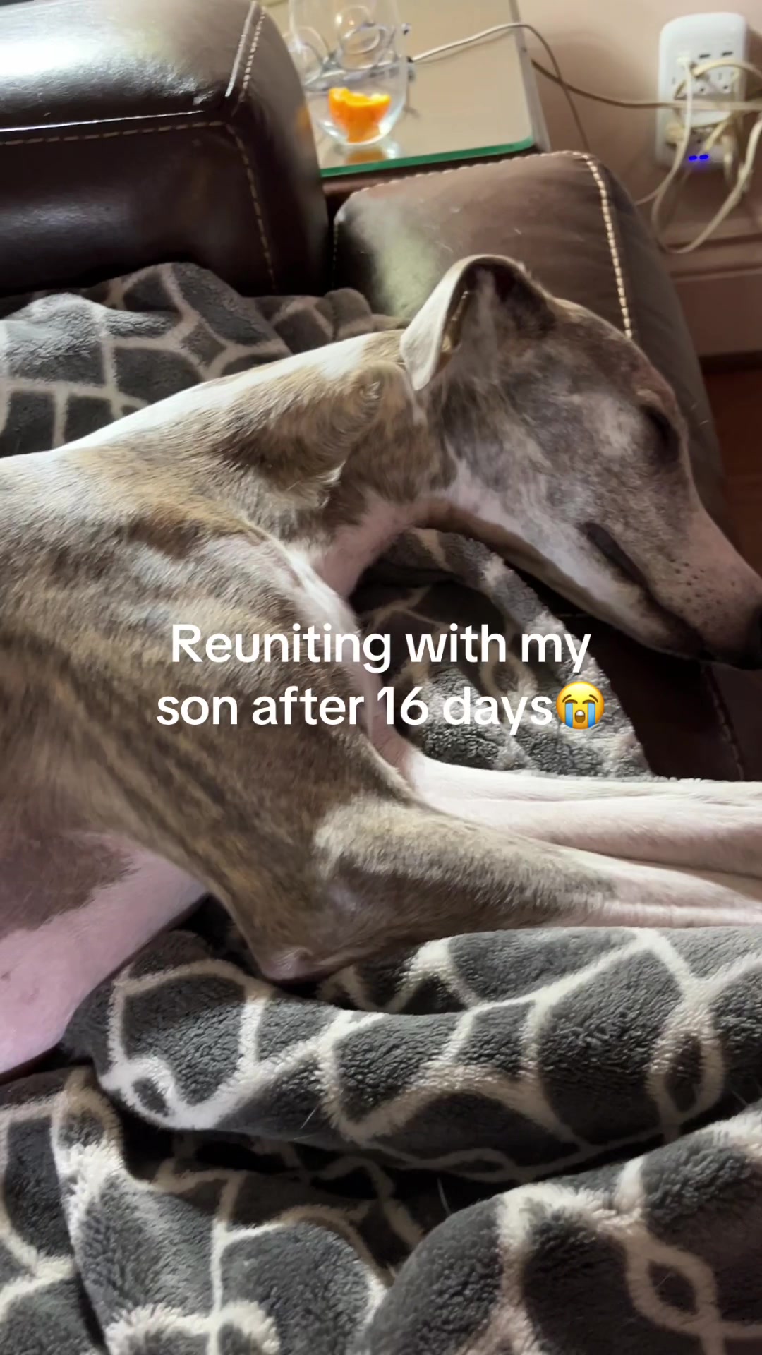 @Kayce Dog🤪🩷