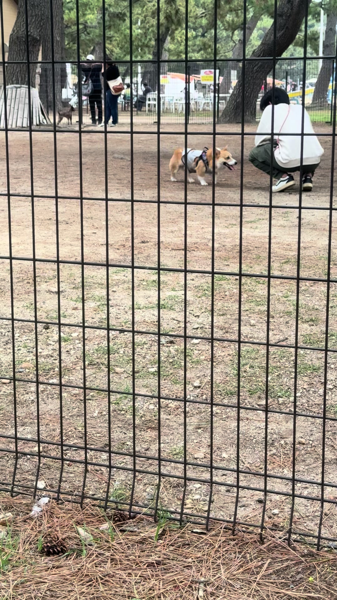 @🐾じゅんこ🐾