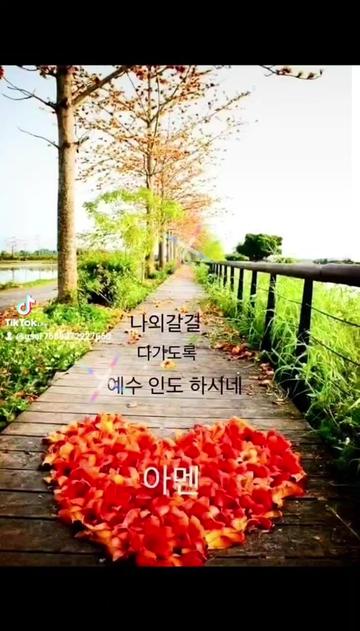 @미미네집으로