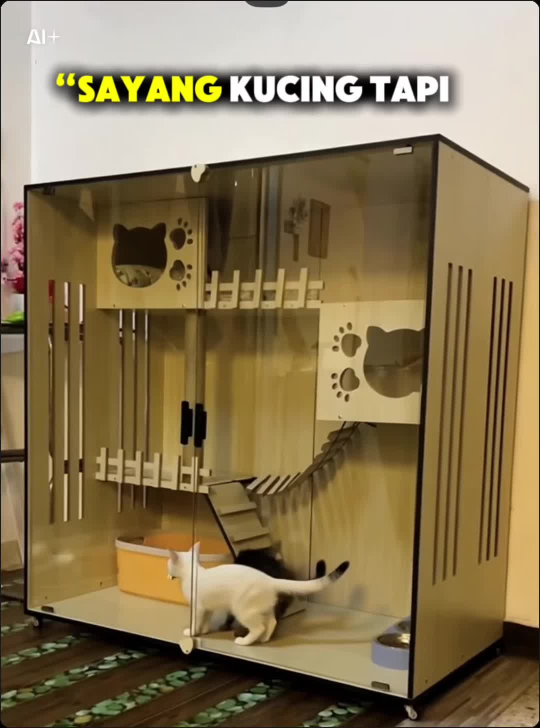 @coachmetafizikedzry