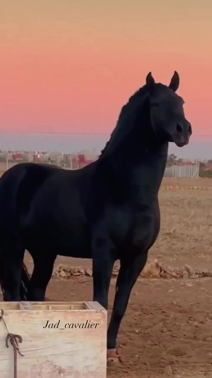 @Amar 13