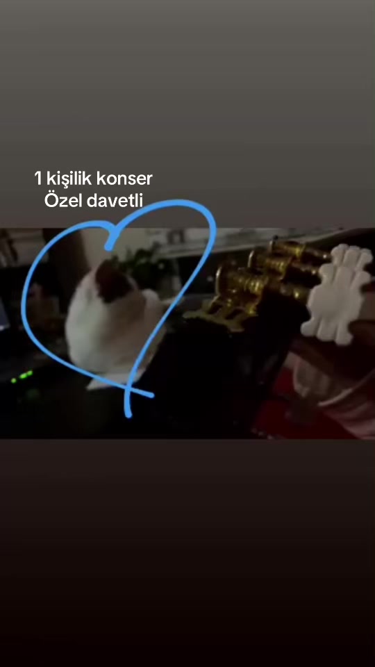 @heyitsgizem