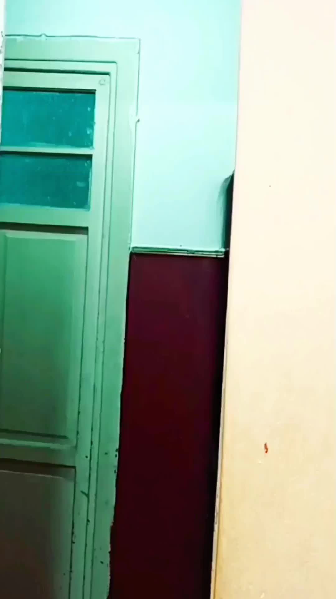 @مصطفى ابو علي