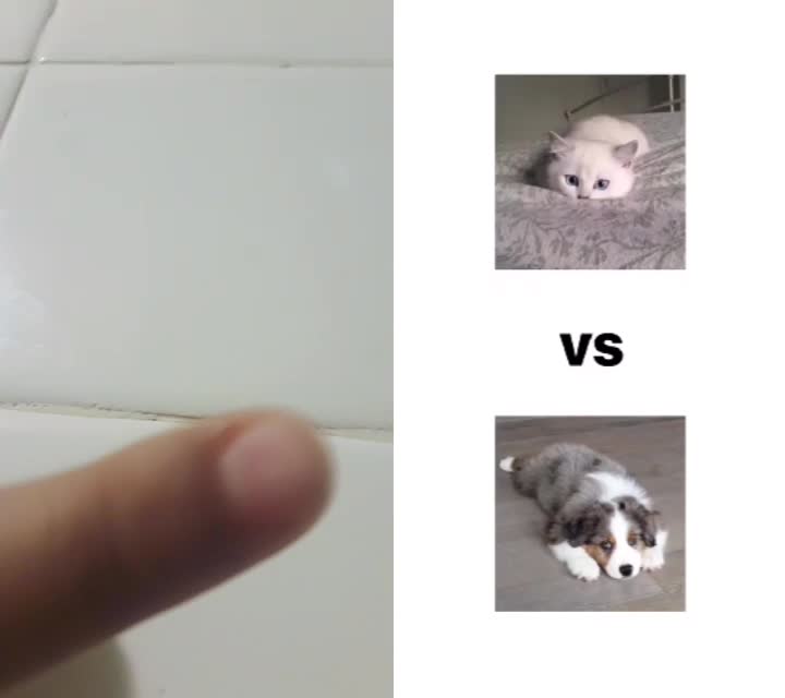 @alexthebeast