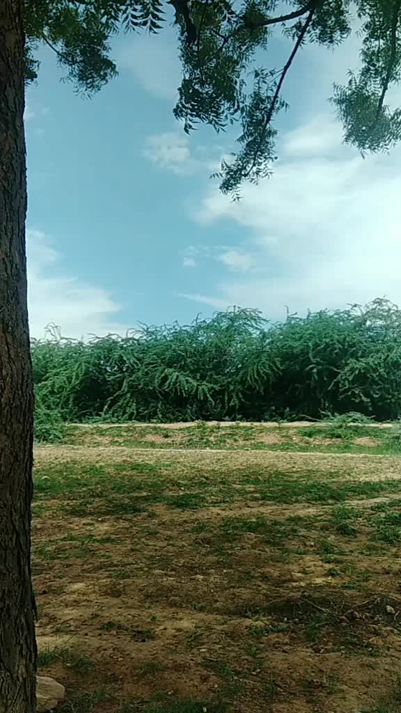 @Dasari Ashok Kumar