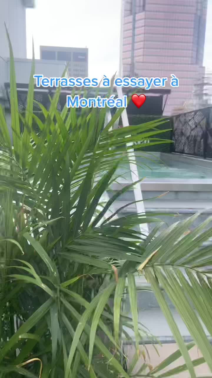 @Miraleai 🌹