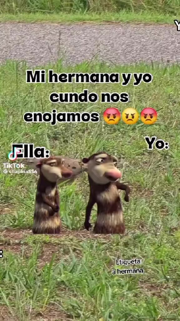 @Aime Rosario Saban