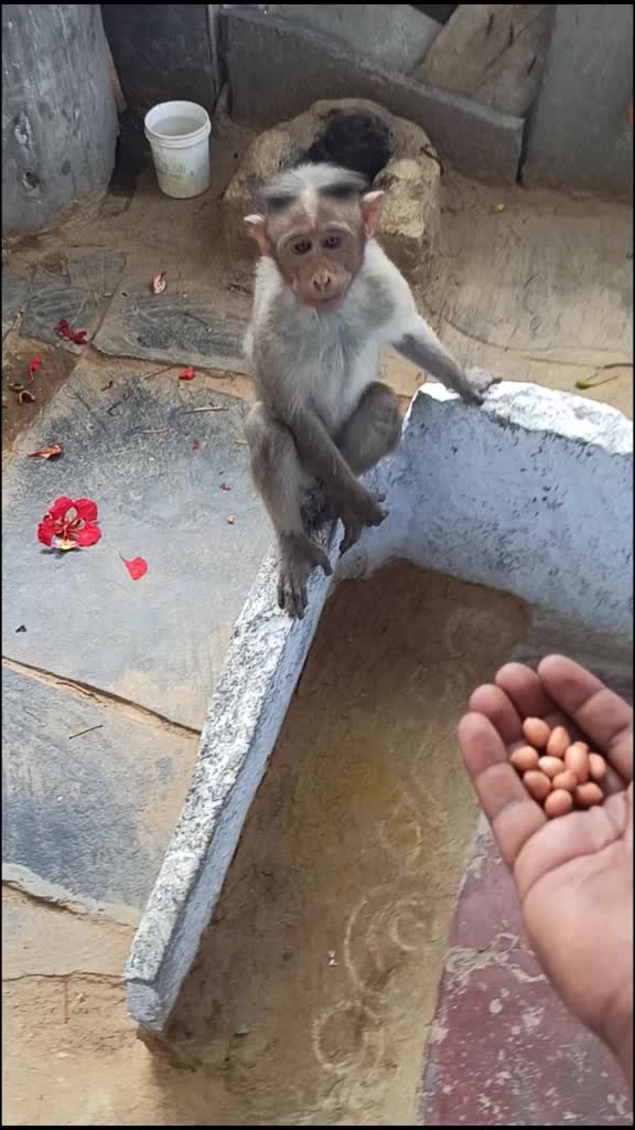 @తెలుగు అబ్బాయ్స్