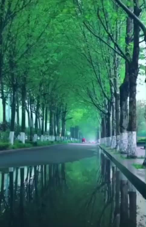 @Shahzaib Malik