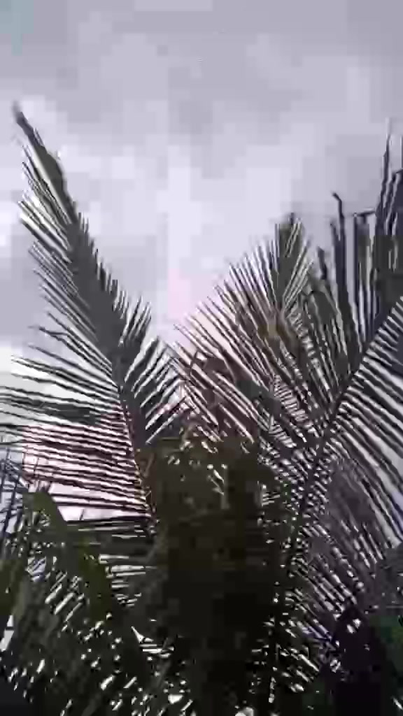 @ajayraj_22