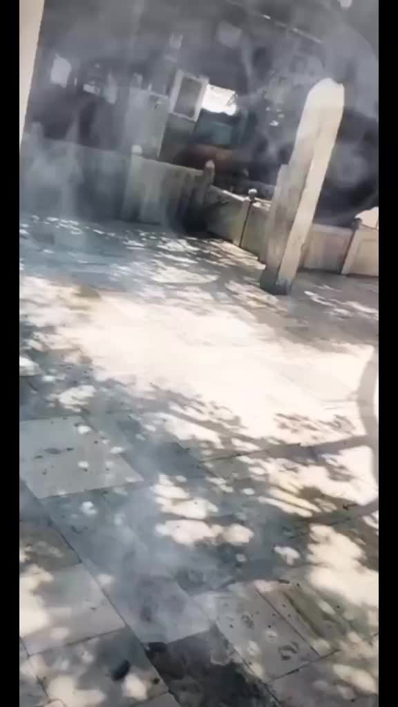 @Shaziya Khan