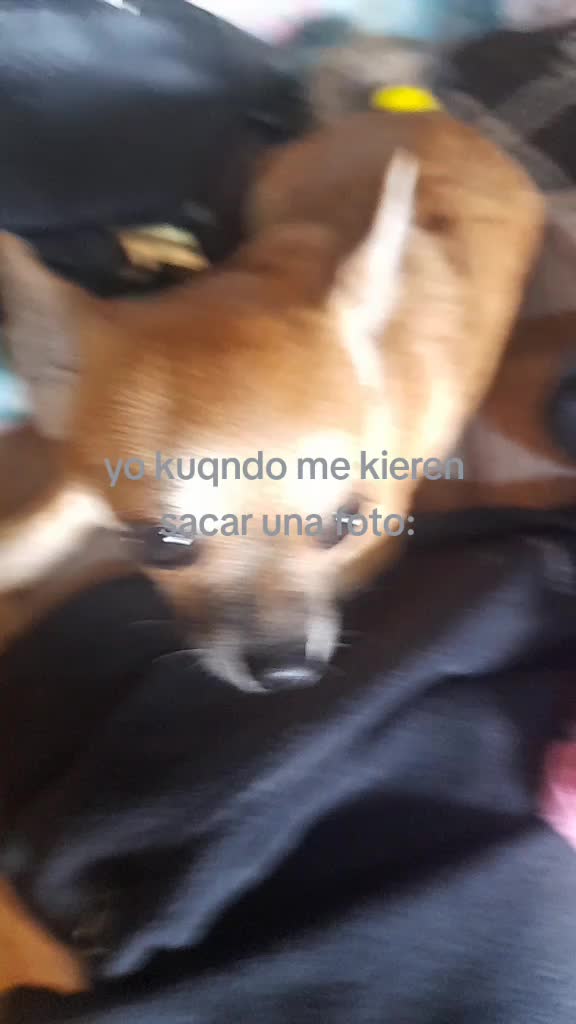 @xanlenez (Guitarra's versión)