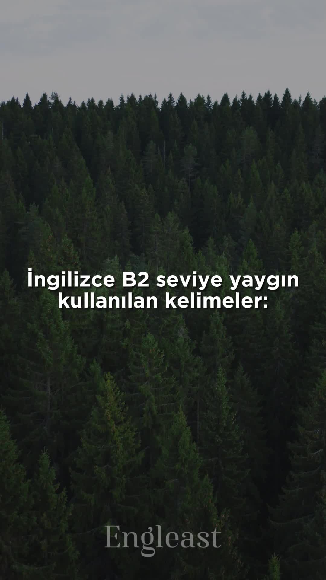 @Engleast