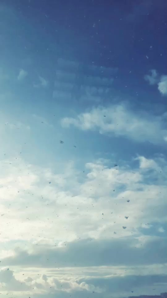 @Диляра Замалетдинова