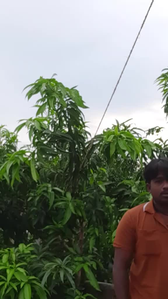 @user3402143975901