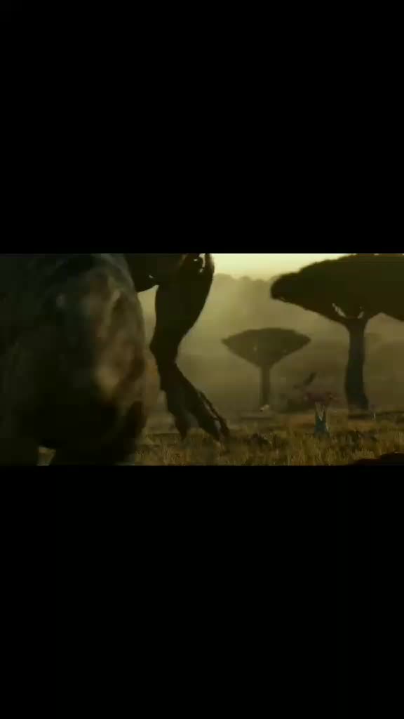 @🦖🦕