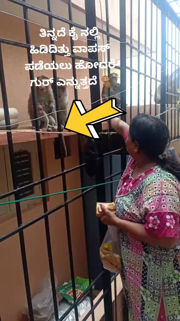 @Kannada kuvariyaru