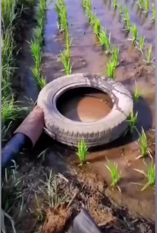 @Shahzaib Malik