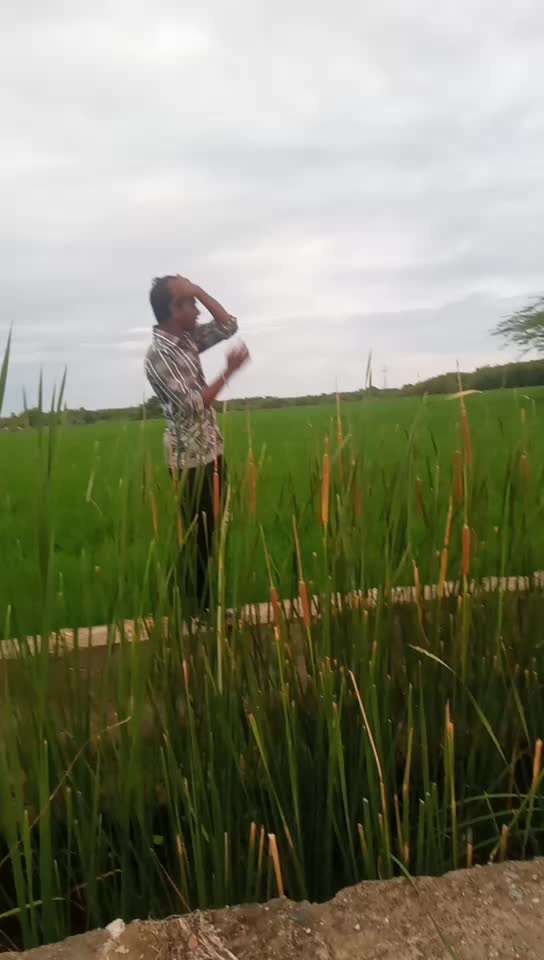 @user288621333122