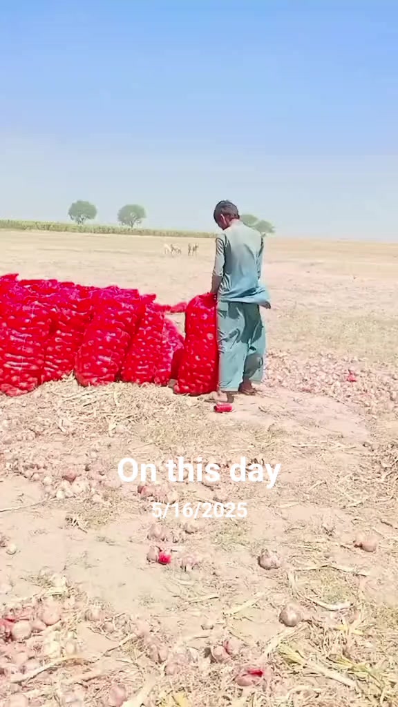 @Mohammad Ejjaz555