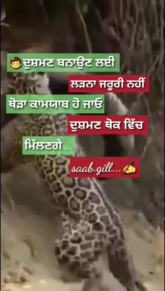 @user171169573695