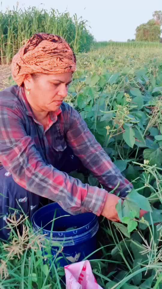 @Sheela Devi