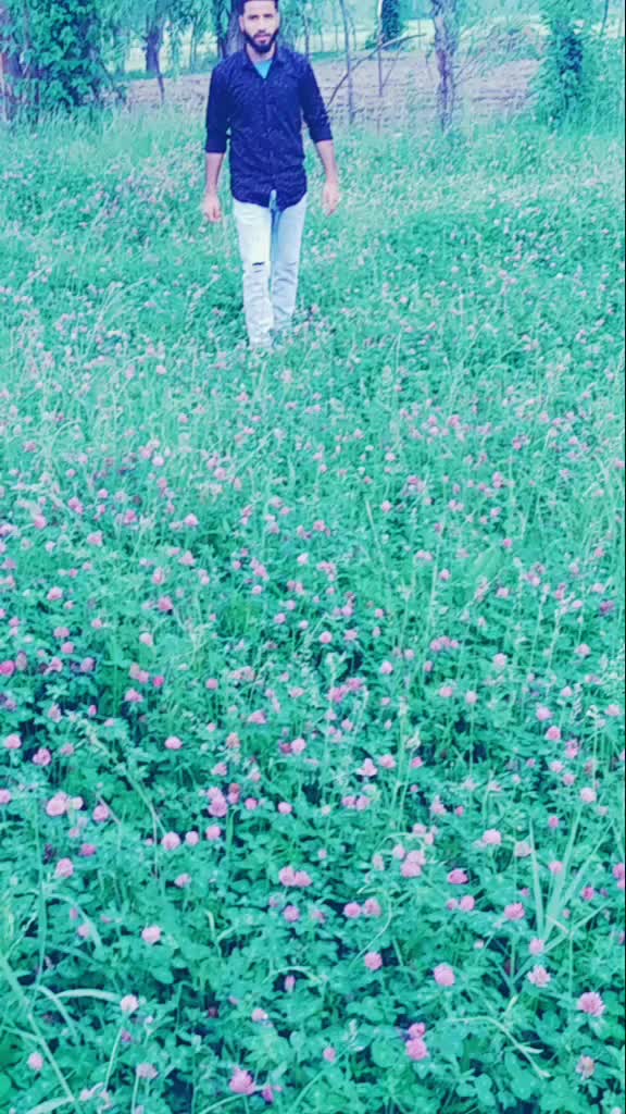 @bhat oWaIs
