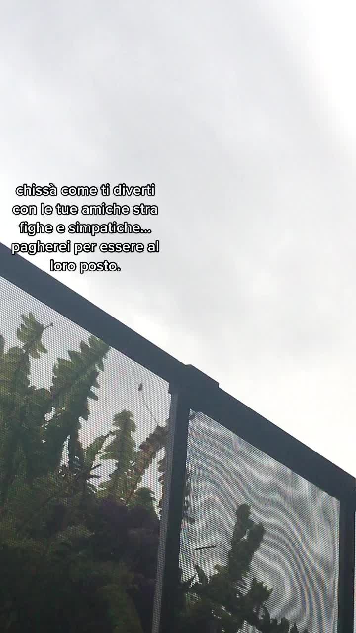 @user17282979228