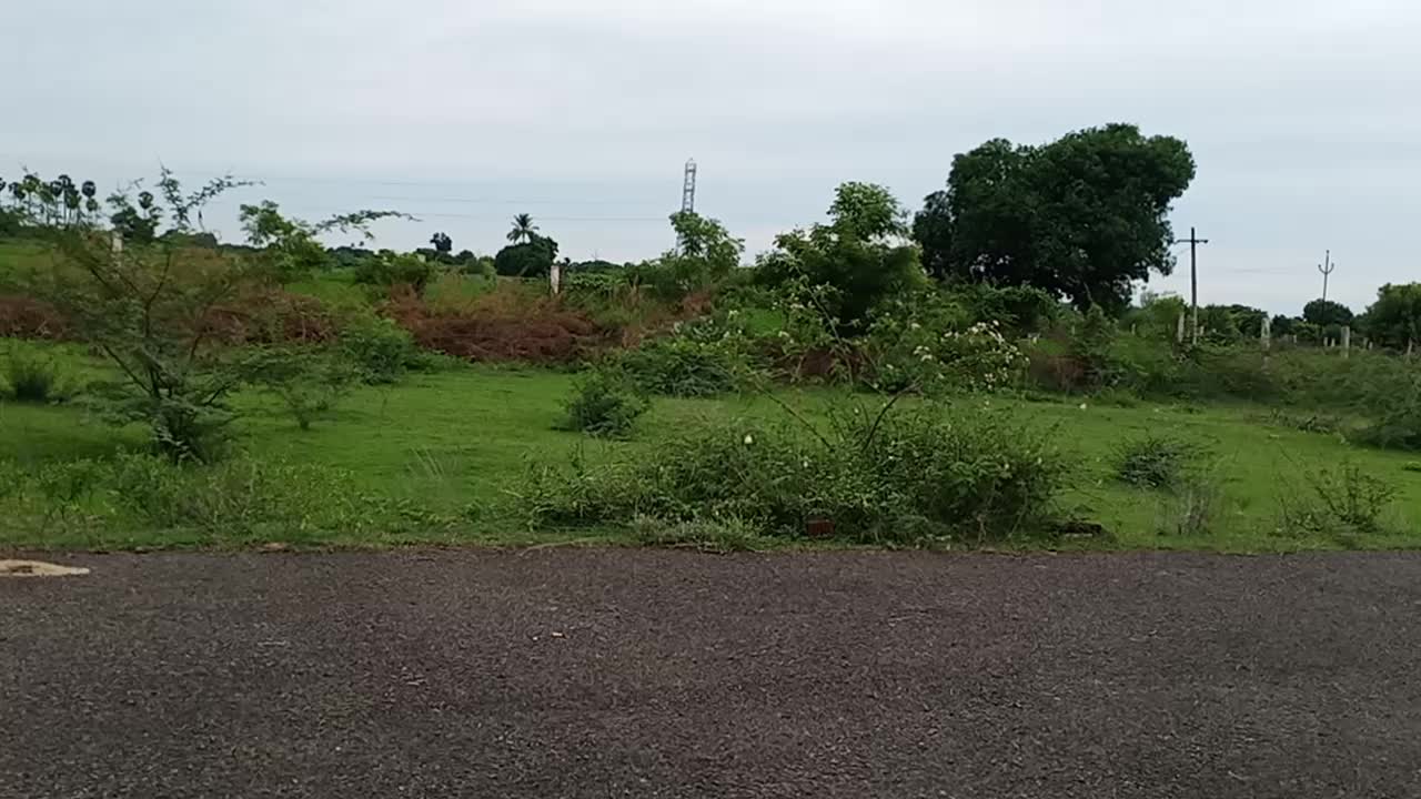 @Kalai Vanan Vimalan