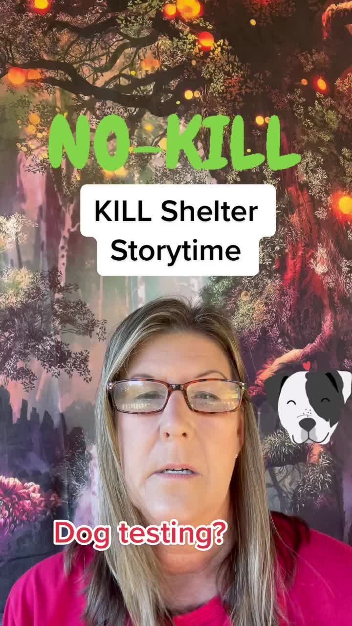 @Crazy Dog Lady