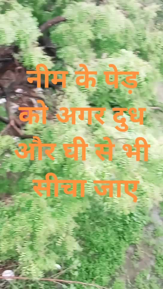 @Babita Kumari